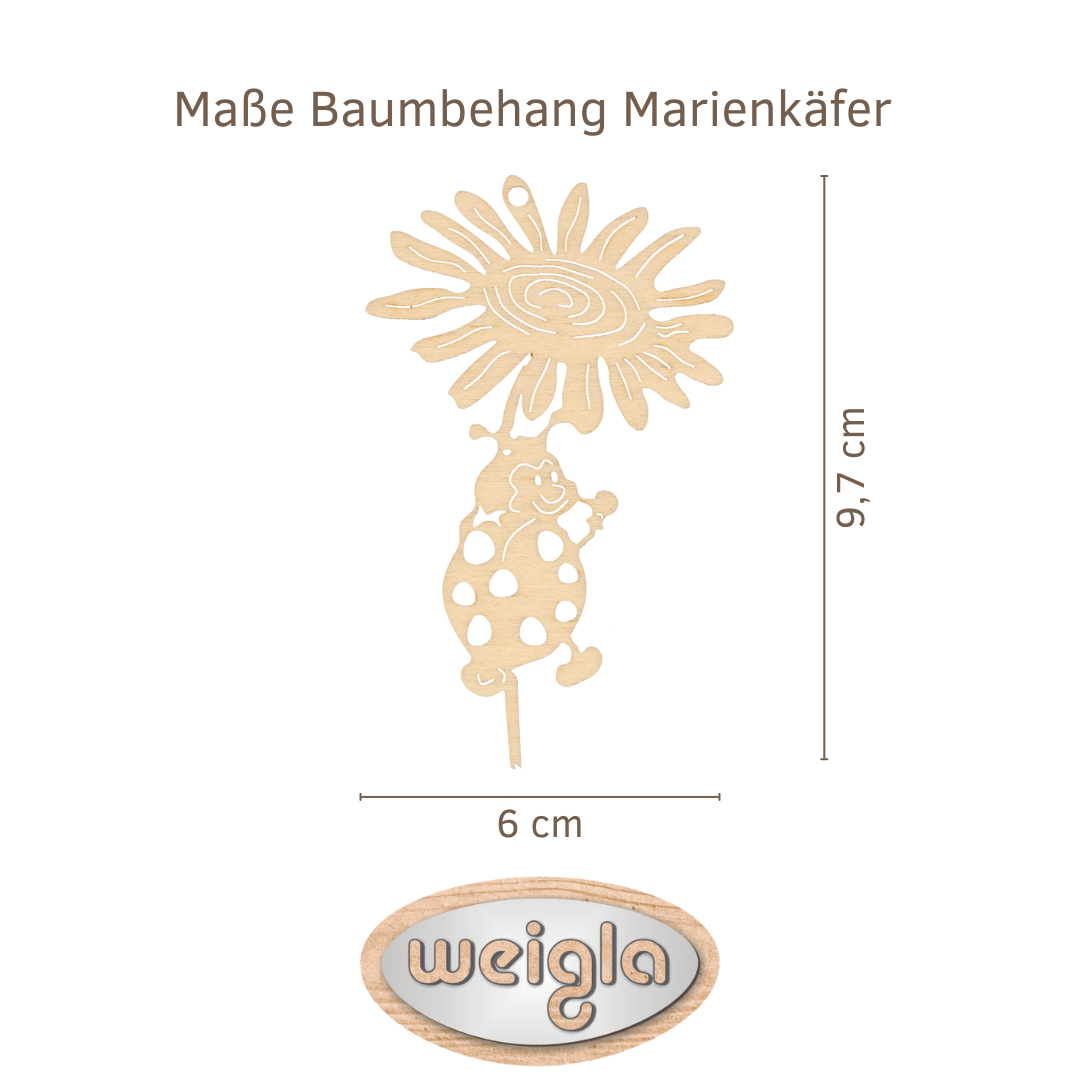 Maße