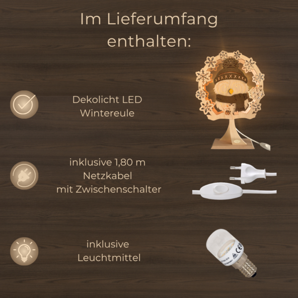 Dekolicht Wintereule LED | Erzgebirge
